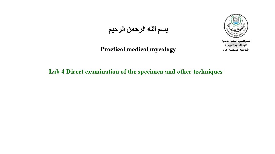  ﺑﺴﻢ ﺍﻟﻠﻪ ﺍﻟﺮﺣﻤﻦ ﺍﻟﺮﺣﻴﻢ Practical medical mycology Lab 4 Direct examination of the