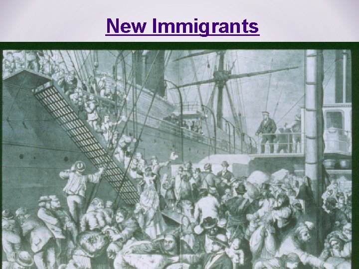 New Immigrants 