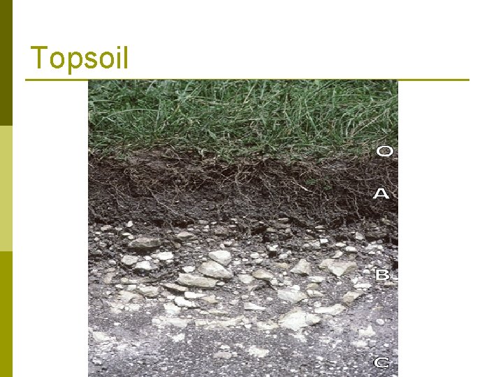 Topsoil Pattern Soil Science Objectives Identify the major soil areas
