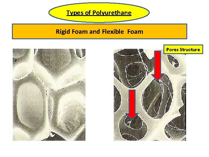 Types of Polyurethane Rigid Foam and Flexible Foam Pores Structure 