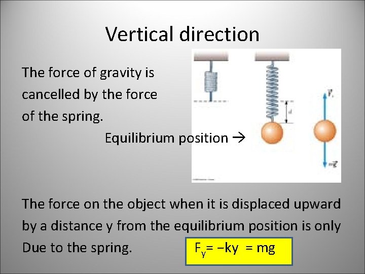 Vertical direction The force of gravity is cancelled by the force of the spring.