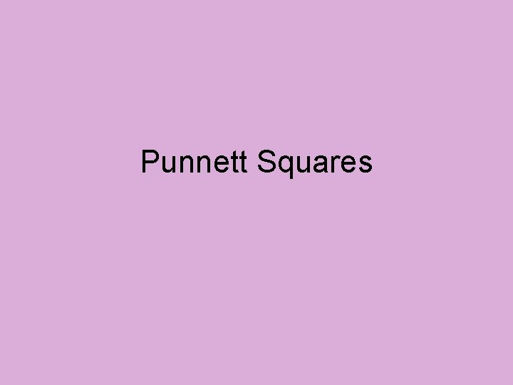 Punnett Squares 