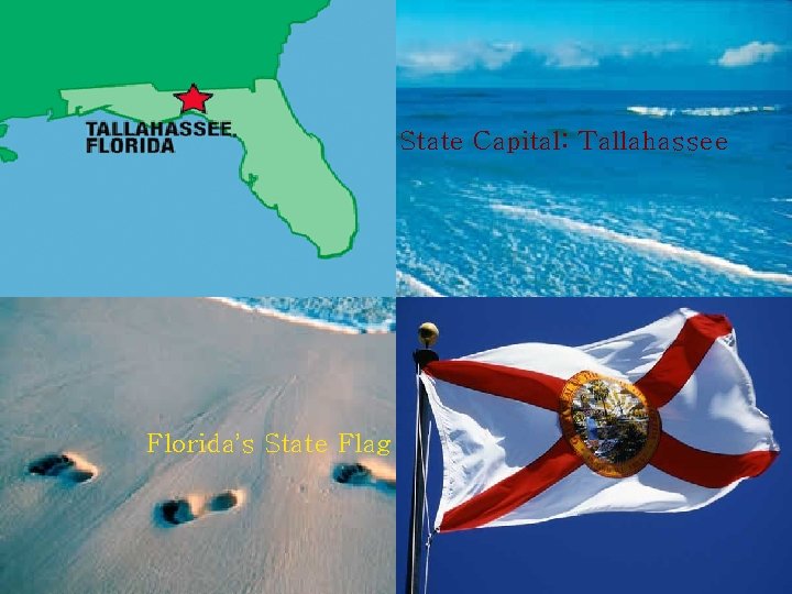 State Capital: Tallahassee Florida’s State Flag 