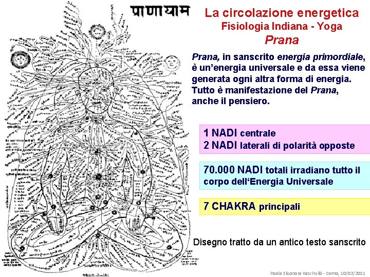 La circolazione energetica Fisiologia Indiana - Yoga Prana, in sanscrito energia primordiale, è un’energia