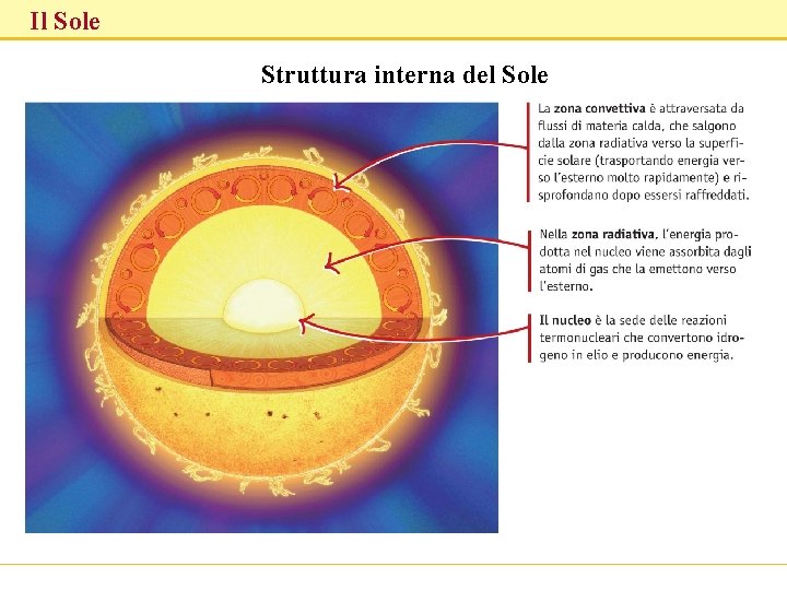 Il Sole Struttura interna del Sole 