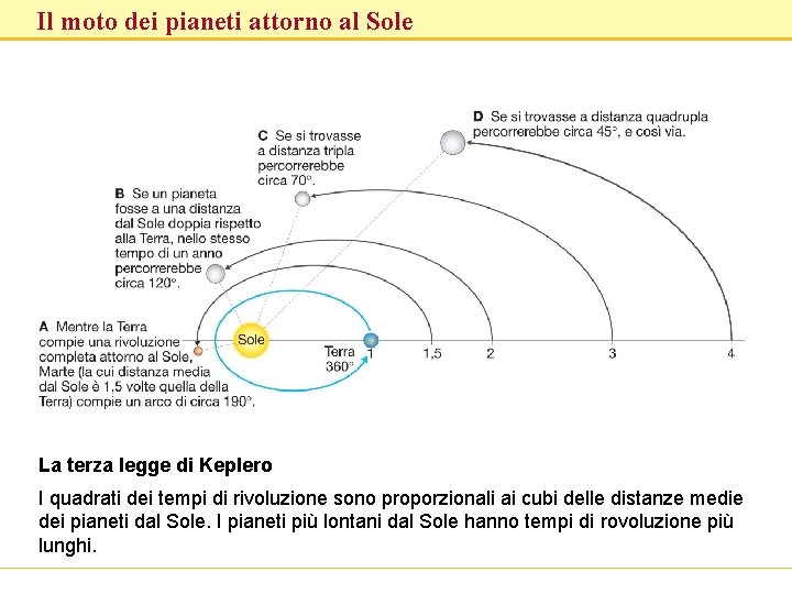 Il moto dei pianeti attorno al Sole La terza legge di Keplero I quadrati