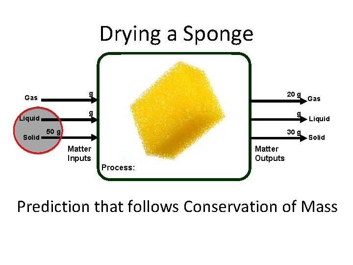 Drying a Sponge Gas Liquid Solid g 20 g g g 50 g 30