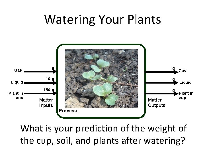 Watering Your Plants Gas Liquid Plant in cup g g 10 g g 150