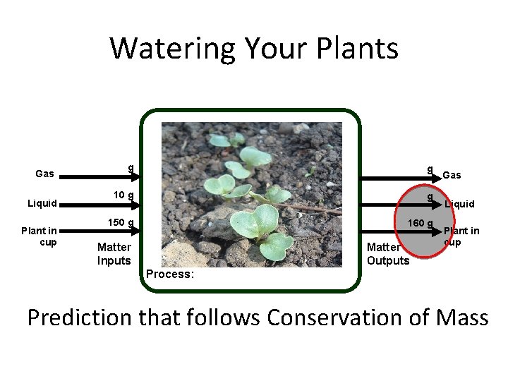 Watering Your Plants Gas Liquid Plant in cup g g 10 g g 150