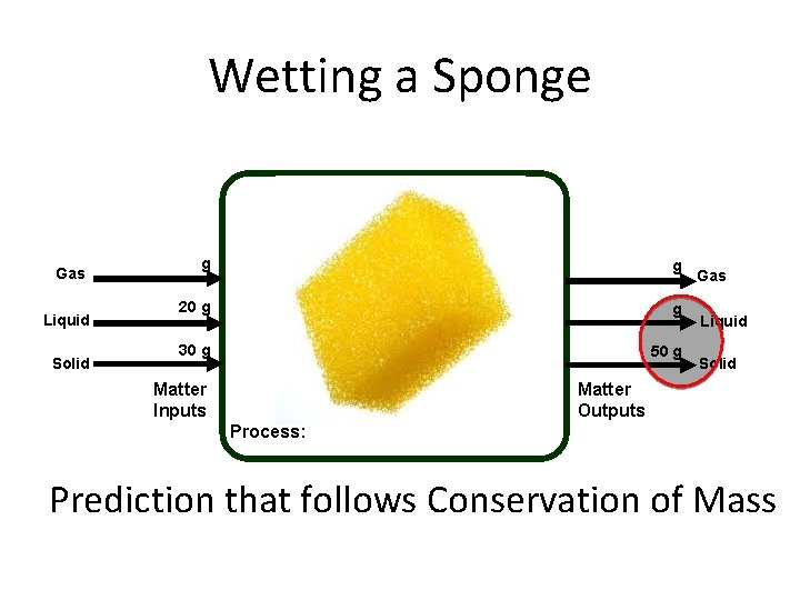 Wetting a Sponge Gas Liquid Solid g g 20 g g 30 g 50