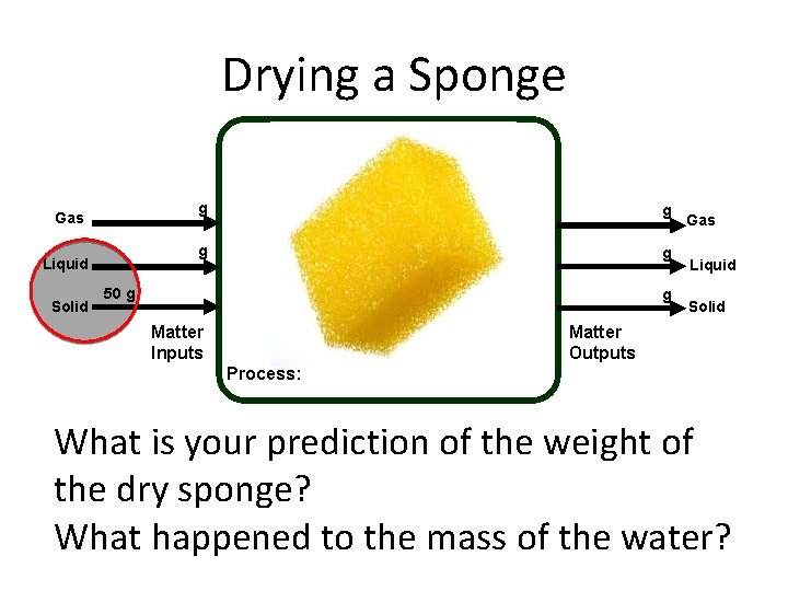 Drying a Sponge Gas Liquid Solid g g 50 g g Matter Inputs Gas