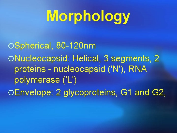 Morphology ¡Spherical, 80 -120 nm ¡Nucleocapsid: Helical, 3 segments, 2 proteins - nucleocapsid ('N'),