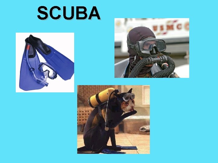 SCUBA 