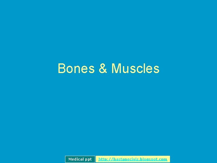 Bones & Muscles Medical ppt http: //hastaneciyiz. blogspot. com 