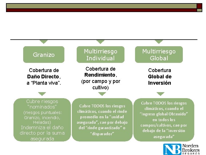 Granizo Multirriesgo Individual Multirriesgo Global Cobertura de Daño Directo, a “Planta viva”. Cobertura de