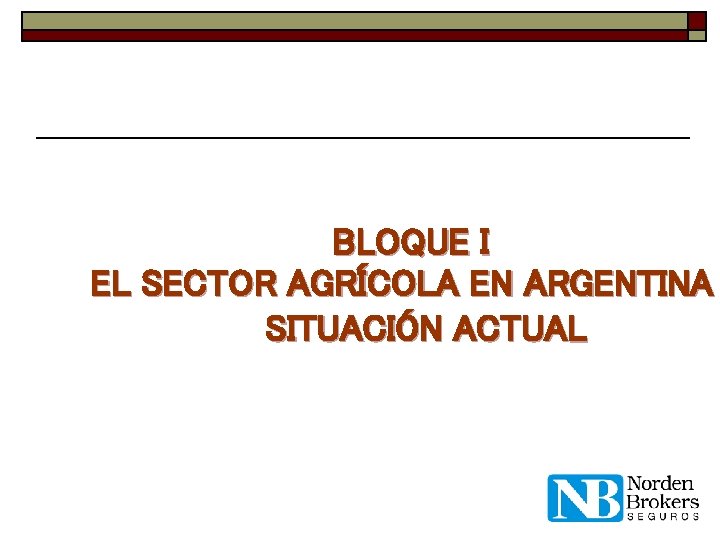 BLOQUE I EL SECTOR AGRÍCOLA EN ARGENTINA SITUACIÓN ACTUAL 