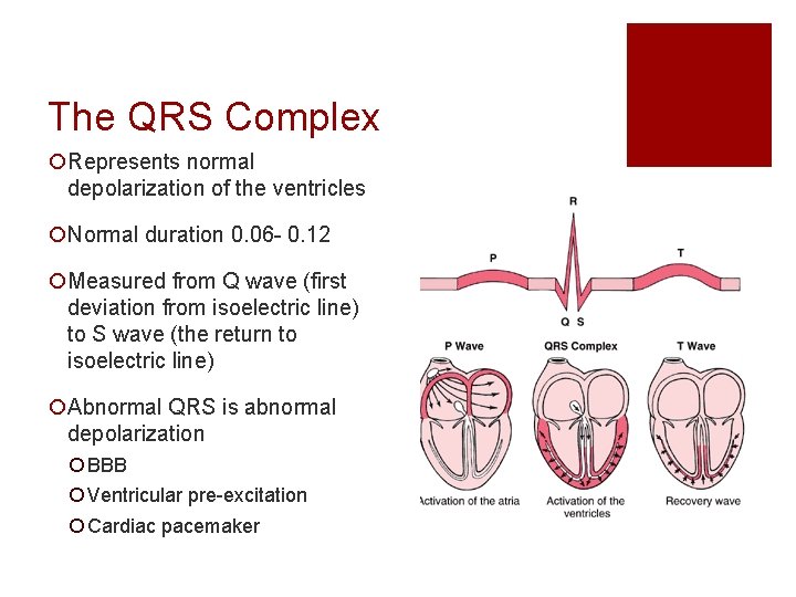 The QRS Complex ¡Represents normal depolarization of the ventricles ¡Normal duration 0. 06 -