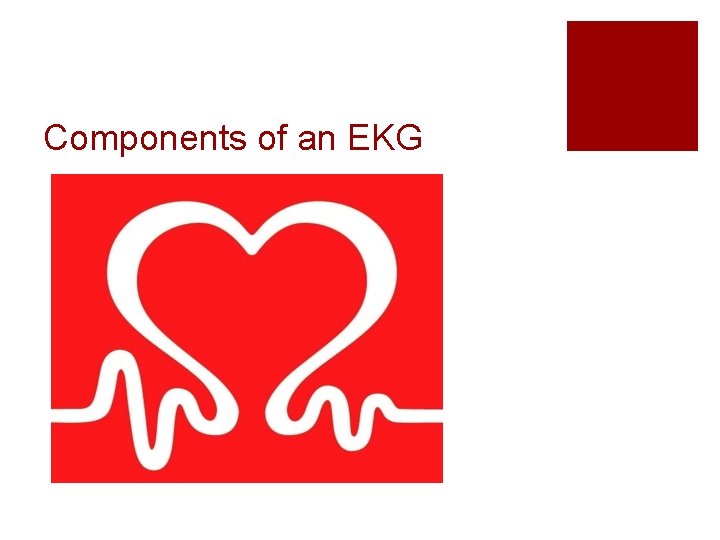 Components of an EKG 
