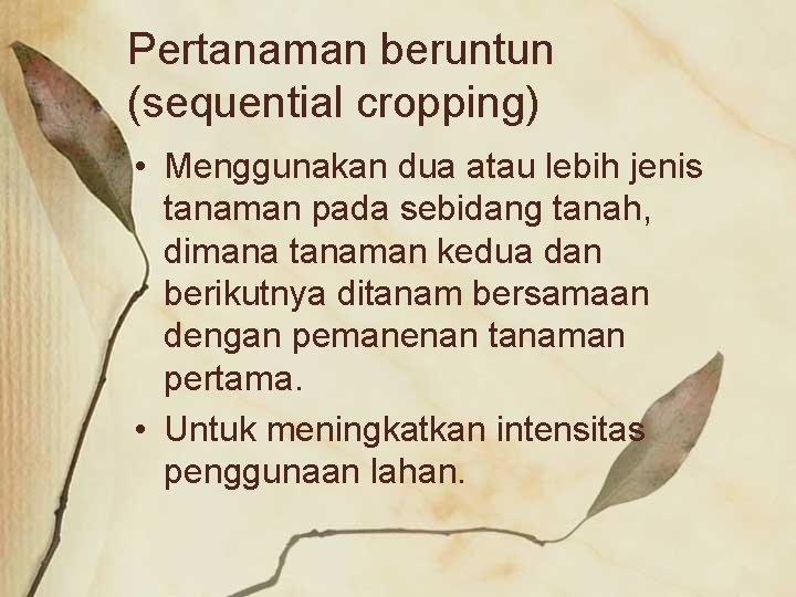Pertanaman beruntun (sequential cropping) • Menggunakan dua atau lebih jenis tanaman pada sebidang tanah,