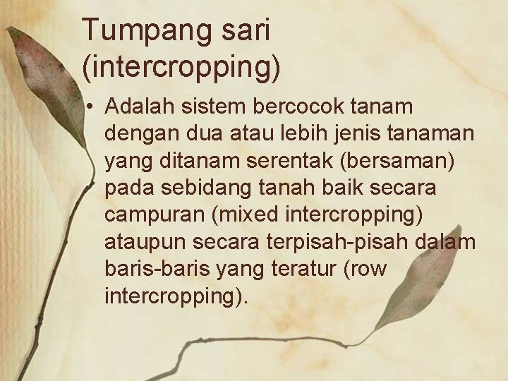 Tumpang sari (intercropping) • Adalah sistem bercocok tanam dengan dua atau lebih jenis tanaman