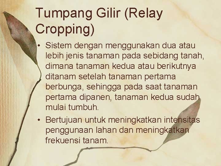 Tumpang Gilir (Relay Cropping) • Sistem dengan menggunakan dua atau lebih jenis tanaman pada