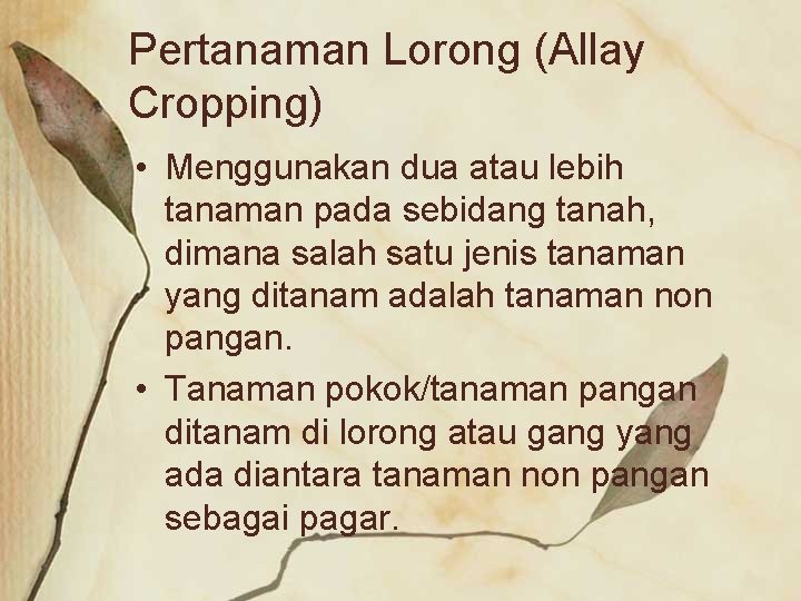 Pertanaman Lorong (Allay Cropping) • Menggunakan dua atau lebih tanaman pada sebidang tanah, dimana