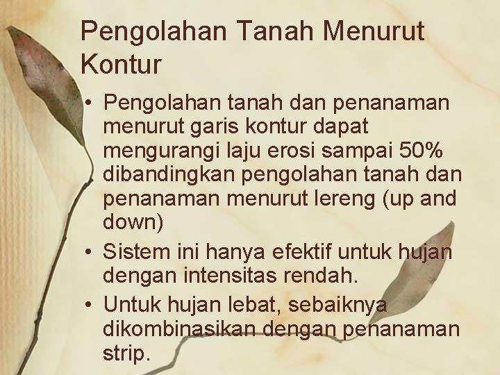 Pengolahan Tanah Menurut Kontur • Pengolahan tanah dan penanaman menurut garis kontur dapat mengurangi