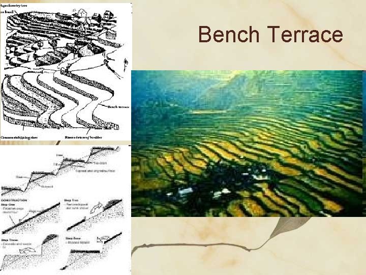 Bench Terrace 
