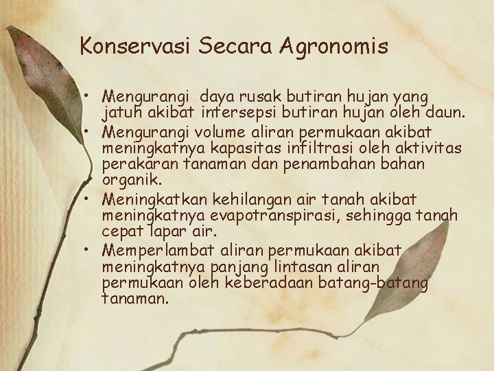 Konservasi Secara Agronomis • Mengurangi daya rusak butiran hujan yang jatuh akibat intersepsi butiran