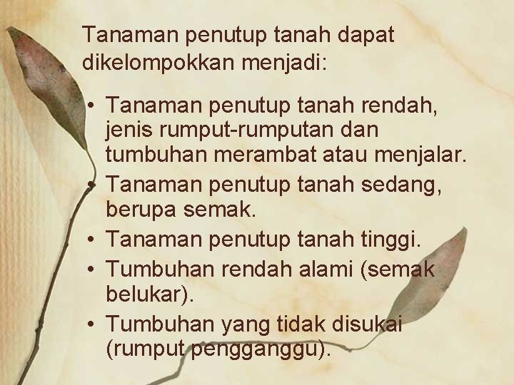 Tanaman penutup tanah dapat dikelompokkan menjadi: • Tanaman penutup tanah rendah, jenis rumput-rumputan dan