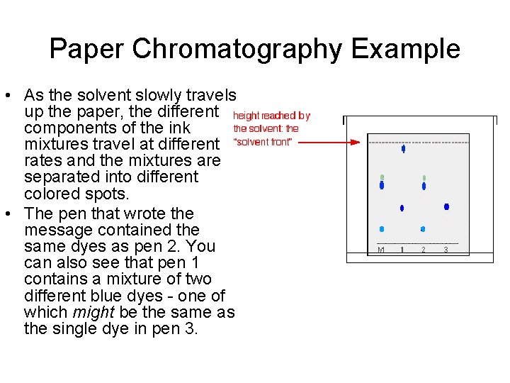 Paper Chromatography Example • As the solvent slowly travels up the paper, the different