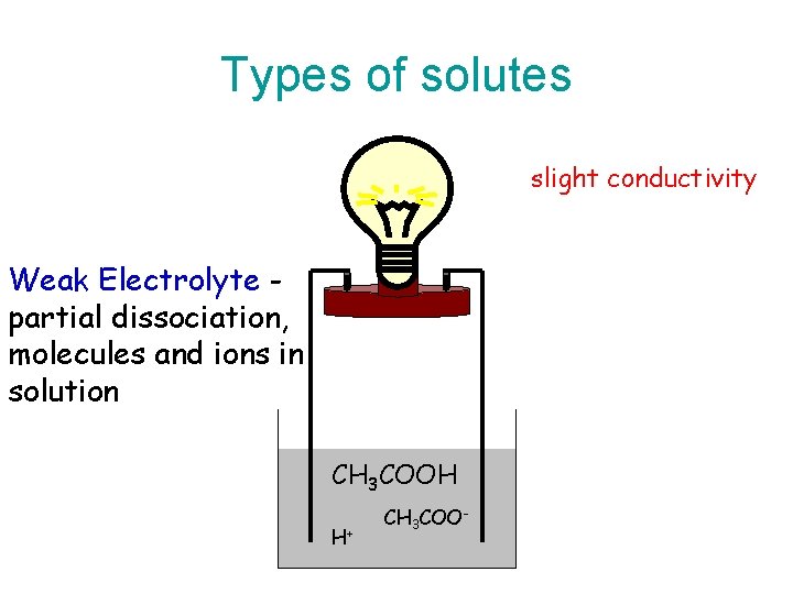 Types of solutes slight conductivity Weak Electrolyte partial dissociation, molecules and ions in solution