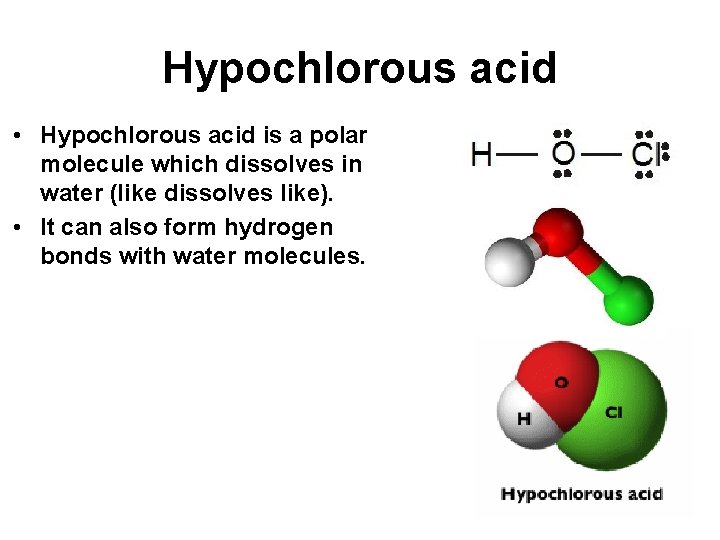 Hypochlorous acid • Hypochlorous acid is a polar molecule which dissolves in water (like