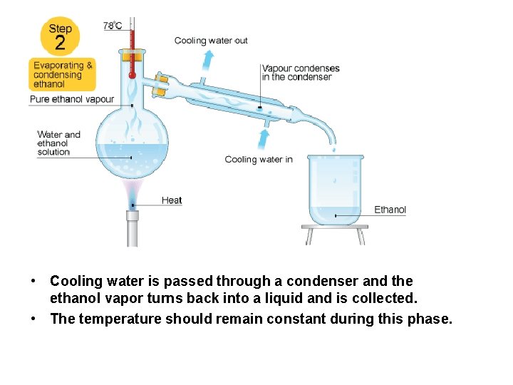  • Cooling water is passed through a condenser and the ethanol vapor turns