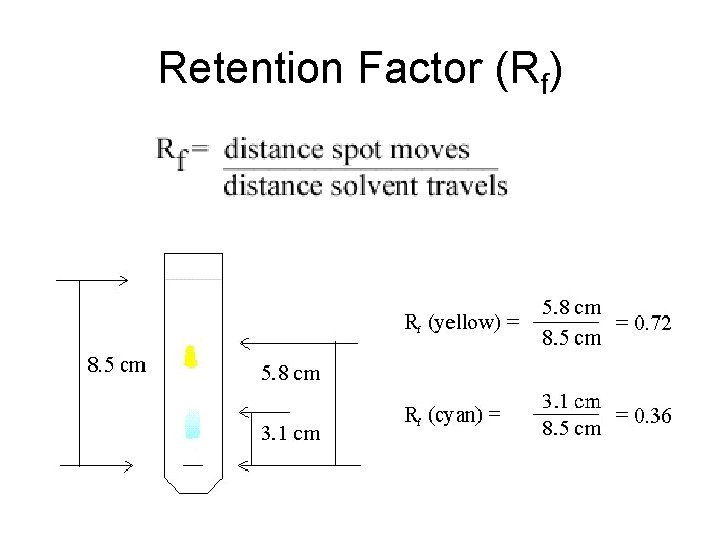 Retention Factor (Rf) 