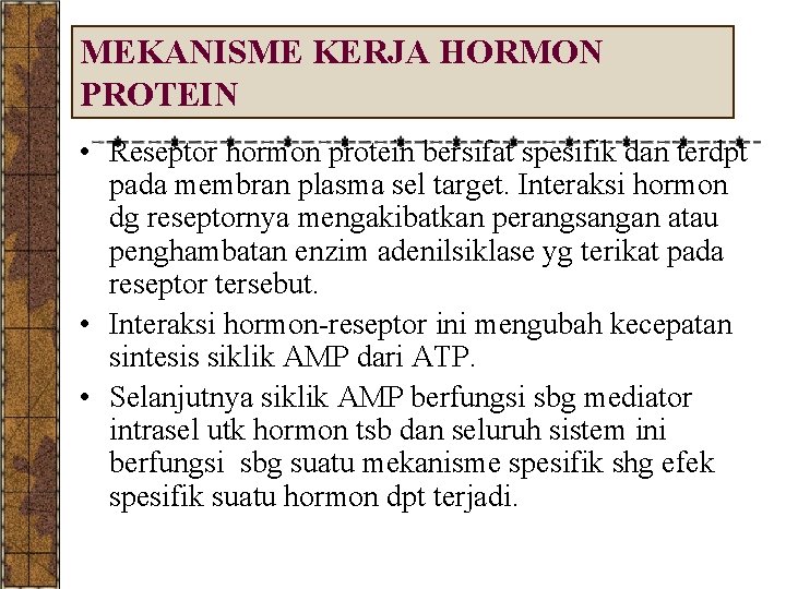 MEKANISME KERJA HORMON PROTEIN • Reseptor hormon protein bersifat spesifik dan terdpt pada membran