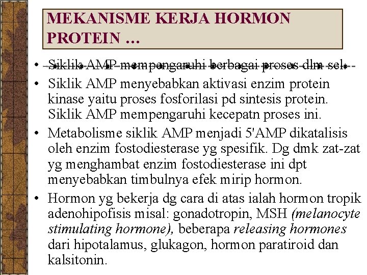 MEKANISME KERJA HORMON PROTEIN … • Siklik AMP mempengaruhi berbagai proses dlm sel. •