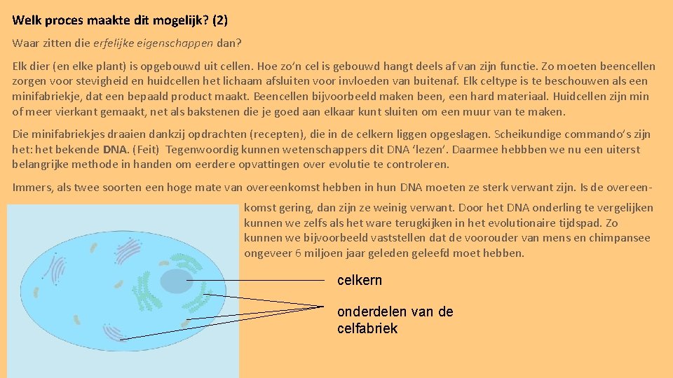 Welk proces maakte dit mogelijk? (2) Waar zitten die erfelijke eigenschappen dan? Elk dier