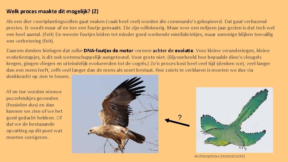 Welk proces maakte dit mogelijk? (2) Als een dier voortplantingscellen gaat maken (vaak heel