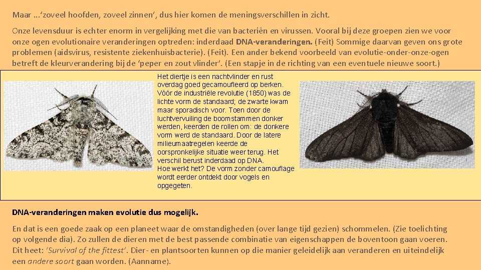 Maar. . . ‘zoveel hoofden, zoveel zinnen’, dus hier komen de meningsverschillen in zicht.