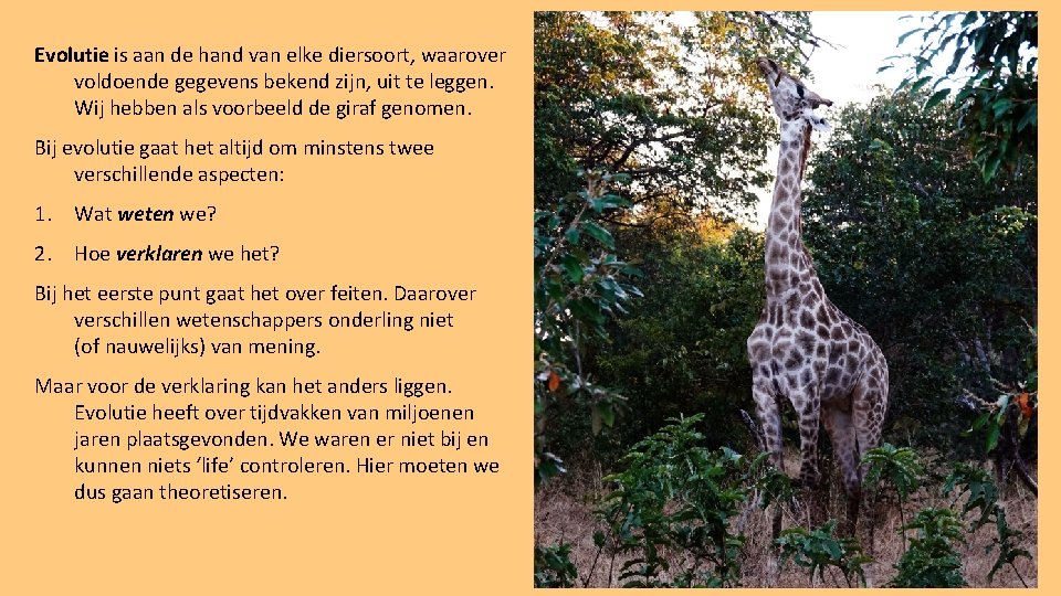 Evolutie is aan de hand van elke diersoort, waarover voldoende gegevens bekend zijn, uit