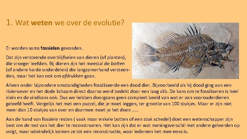 1. Wat weten we over de evolutie? Er worden soms fossielen gevonden. Dat zijn