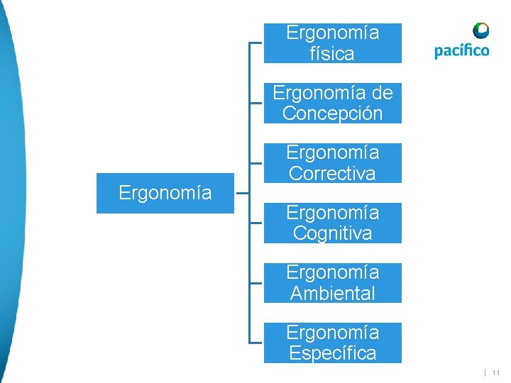 Ergonomía física Ergonomía de Concepción Ergonomía Correctiva Ergonomía Cognitiva Ergonomía Ambiental Ergonomía Específica | Ergonomía física Ergonomía de Concepción Ergonomía Correctiva Ergonomía Cognitiva Ergonomía Ambiental Ergonomía Específica |