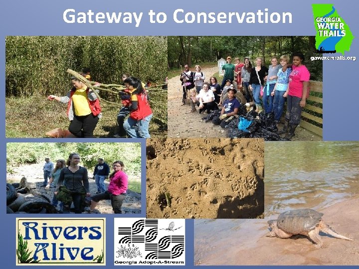 Gateway to Conservation 