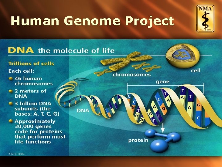 Human Genome Project 