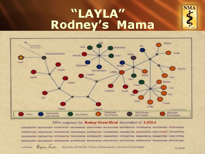 “LAYLA” Rodney’s Mama 