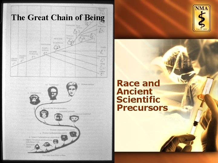 The Great Chain of Being Race and Ancient Scientific Precursors 