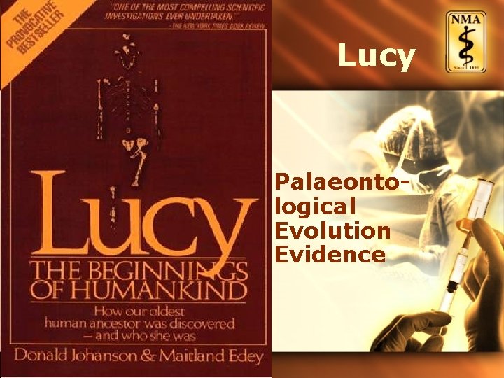 Lucy Palaeontological Evolution Evidence 
