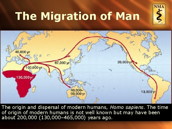 The Migration of Man The origin and dispersal of modern humans, Homo sapiens. The