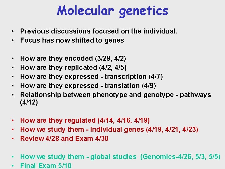 Molecular genetics • Previous discussions focused on the individual. • Focus has now shifted